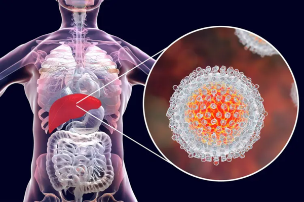 Best Liver Biopsy Procedure in Mumbai