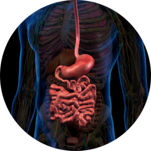 Bowel Syndrome