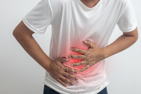 Digestive Systems