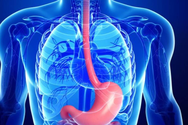 Portal Hypertension Management in Mumbai