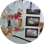 MRI Enterplogy