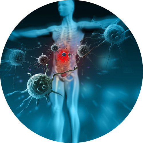 Immune system Malfunction