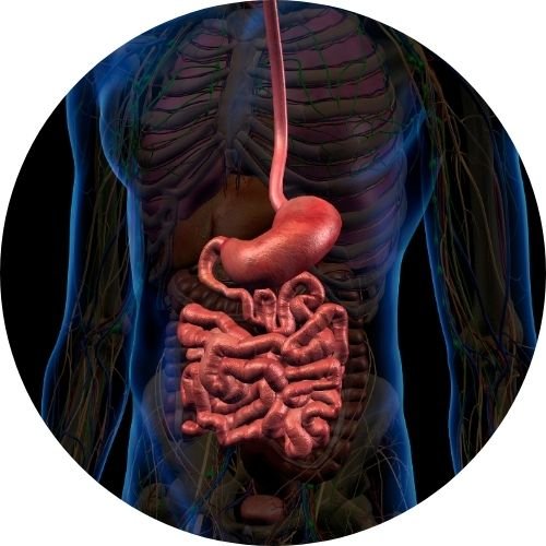Stomach Pain