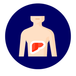 gastro categories (82)